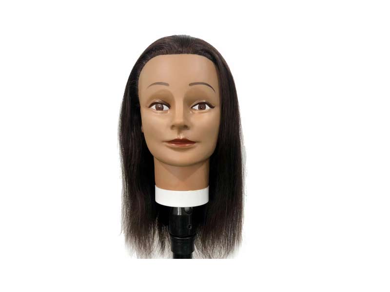 hair model wholesale